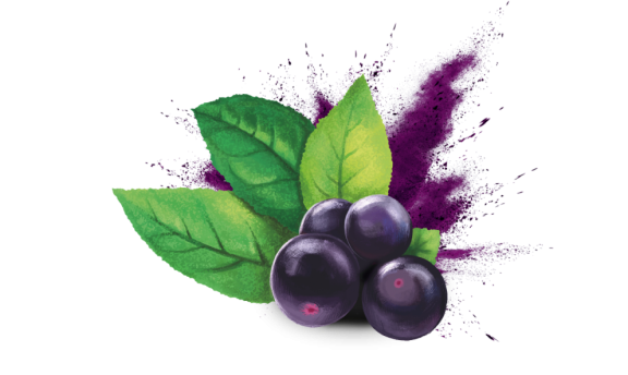 maqui berry for antioxidant potency